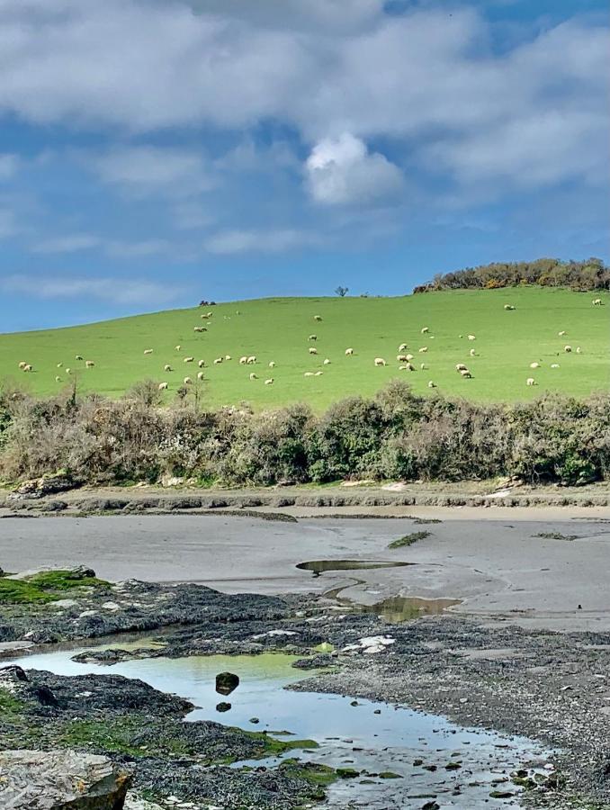 Gwel An Heyl, Padstow Little Petherick Exterior foto
