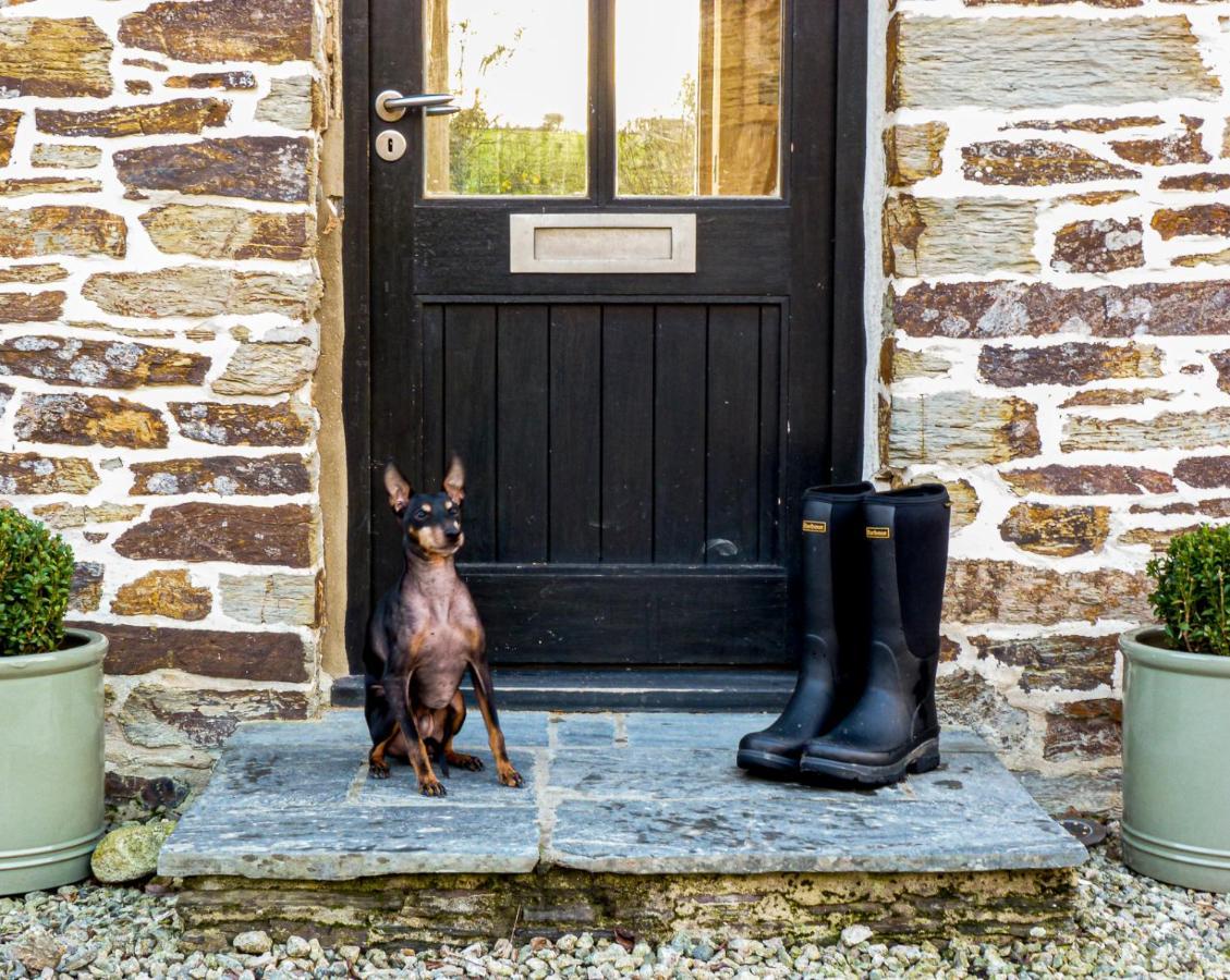Gwel An Heyl, Padstow Little Petherick Exterior foto
